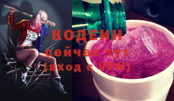 ECSTASY Алзамай