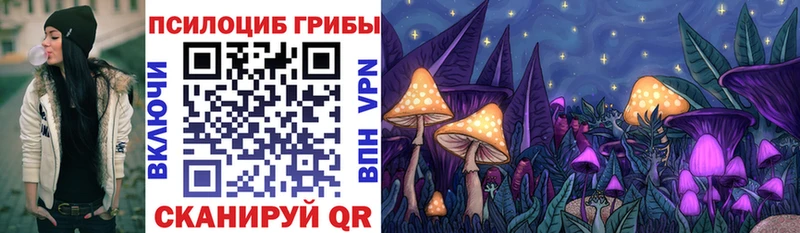МЕГА tor сколько стоит Домодедово Псилоцибиновые грибы Magic Shrooms